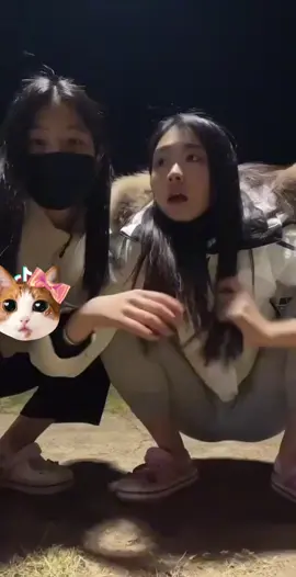 고3분들 수능준비 화이팅