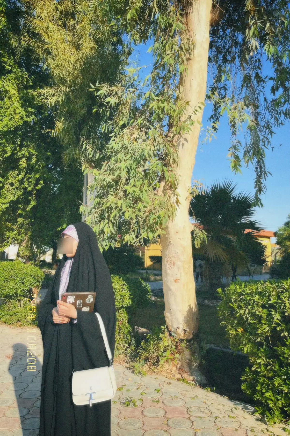 #عشوايات #جامعة_بابل #متابعه_ولايك_واكسبلور_احبكم 