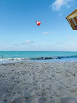 #viral #tiktok معقول 🥹