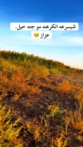 #شحافضين_سمير #صبيح 💔🥹#تصويري_احترافي_الاجواء👌🏻🕊😴 #عبارات_حزينه💔 ##🥹 