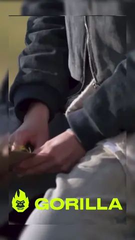 #стопосто #100x100 #горила100 #сотканагорилу#холостяк