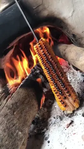 Felicidade...🏜 #nordeste #nordeste #felicidade #fyp 