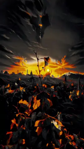 PsychedelicArt with Sunset in Vineyards!!!!! #GlamAi #glamapp #glamai #pourtoiiii #videoviral 