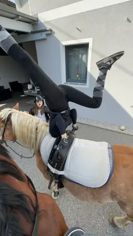 @xq.hannah @hellena🥥 Hannah die Turnerin GAHAAHAH #prankbros #voltigiren #haflinger #ausreiten #pferd 