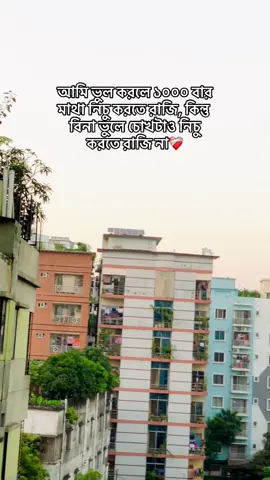 আমি ভুল করলে ১০০০ বার মাথা নিচু করতে রাজি, কিন্তু বিনা ভুলে চোখটাও নিচু করতে রাজি না❤️‍🩹#vairal #foryou #vairalvideo 