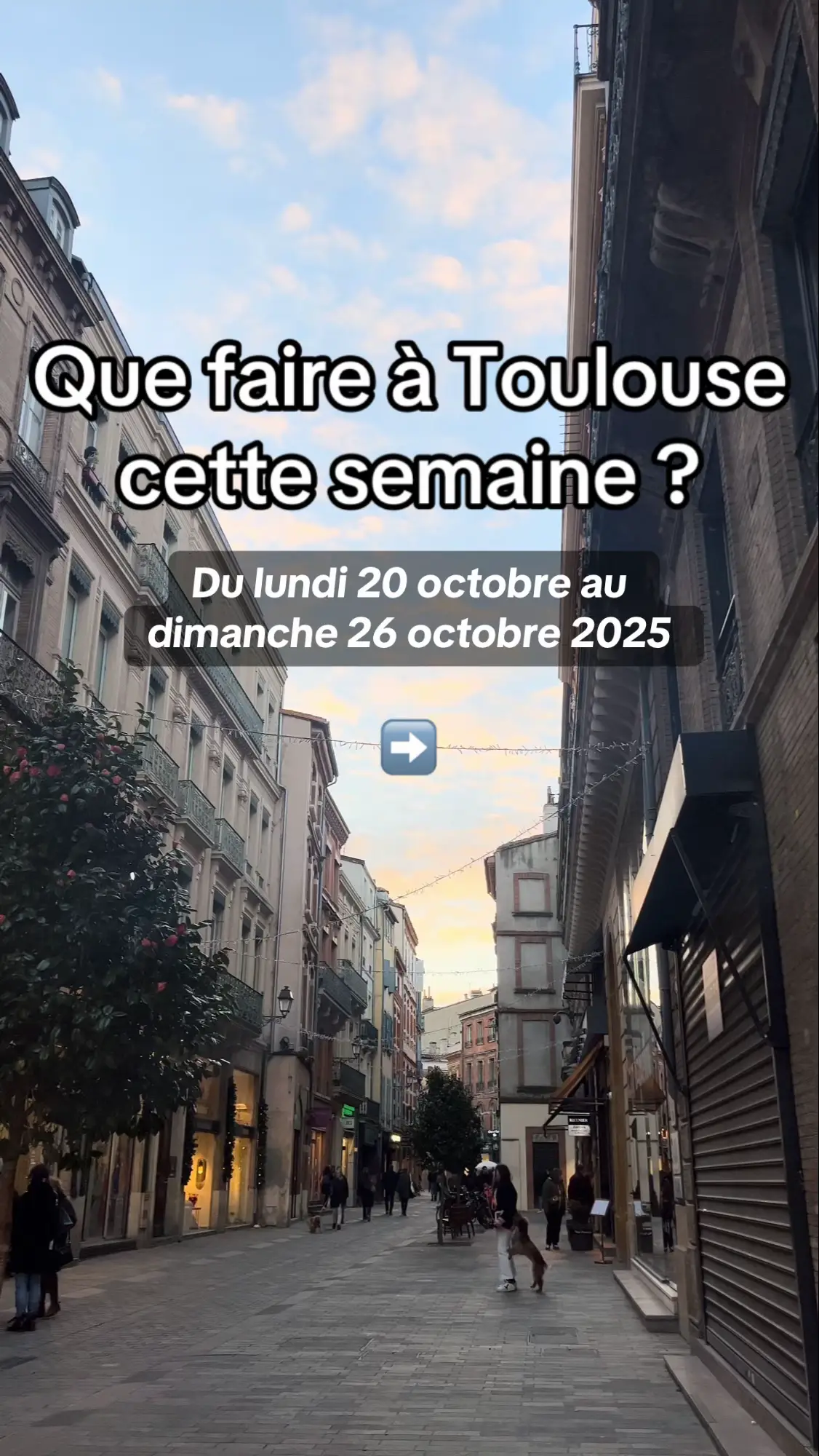 #toulouse 