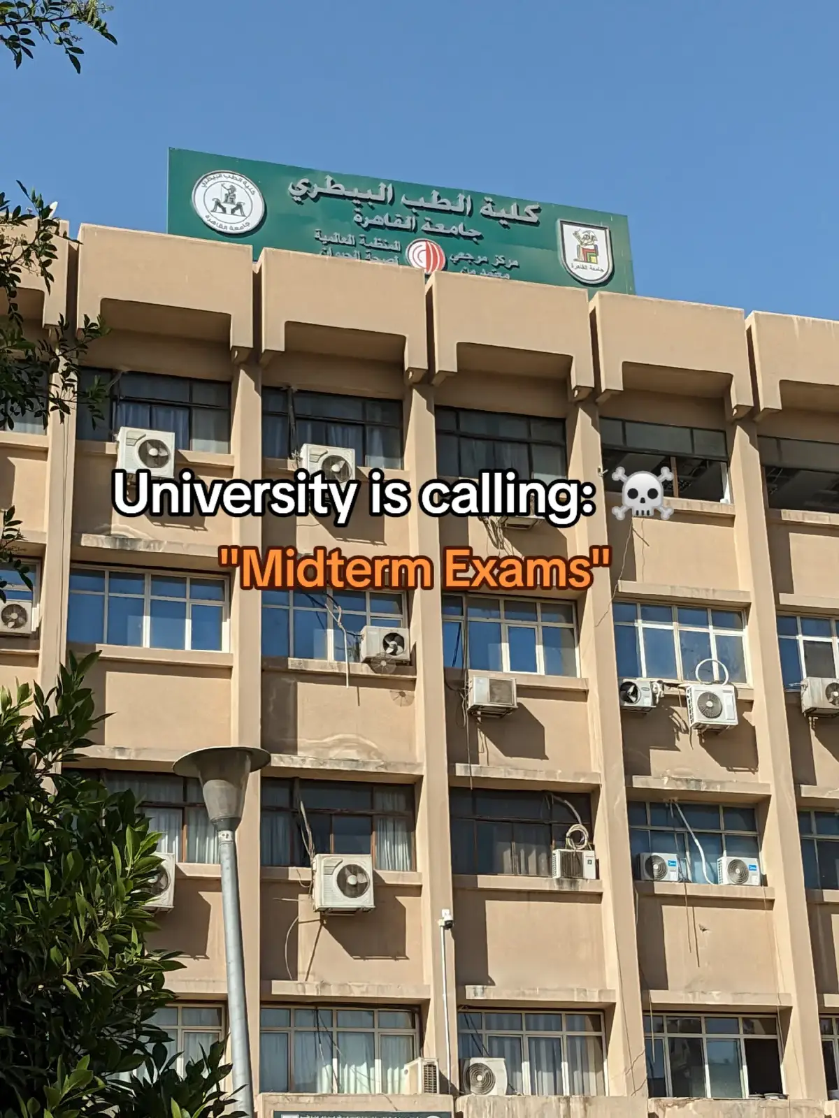 #veterinarian #veterinaria #fyp #جامعة  #امتحانات 