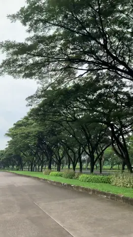 Hidden gems cikarang. pagi enak lari hirup udara segar, siang enak ngadem,sorenya JJS 💯 deket spot mancing juga ada danau banyak jaer sama boso 🎣🌱 #cikarang #spotmancing #nature #cikaranghits #healing 