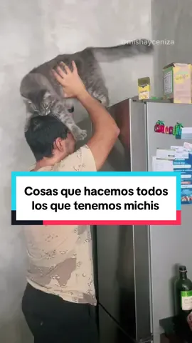 ¿A poco no? 🙊 | #gatos