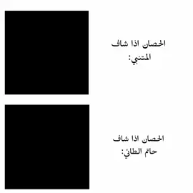 مو خوش سالفه😥#مالي_خلق_احط_هاشتاقات #مشاهير_تيك_توك #أحــــمـــــد #مالي_خلق_احط_هاشتاقات #مشاهير_تيك_توك 