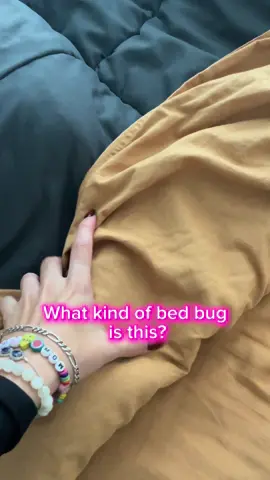 🙀🙀🙀 #cattoks #cattokers #fluffycat #blackcatsoftiktok #meowmonday 