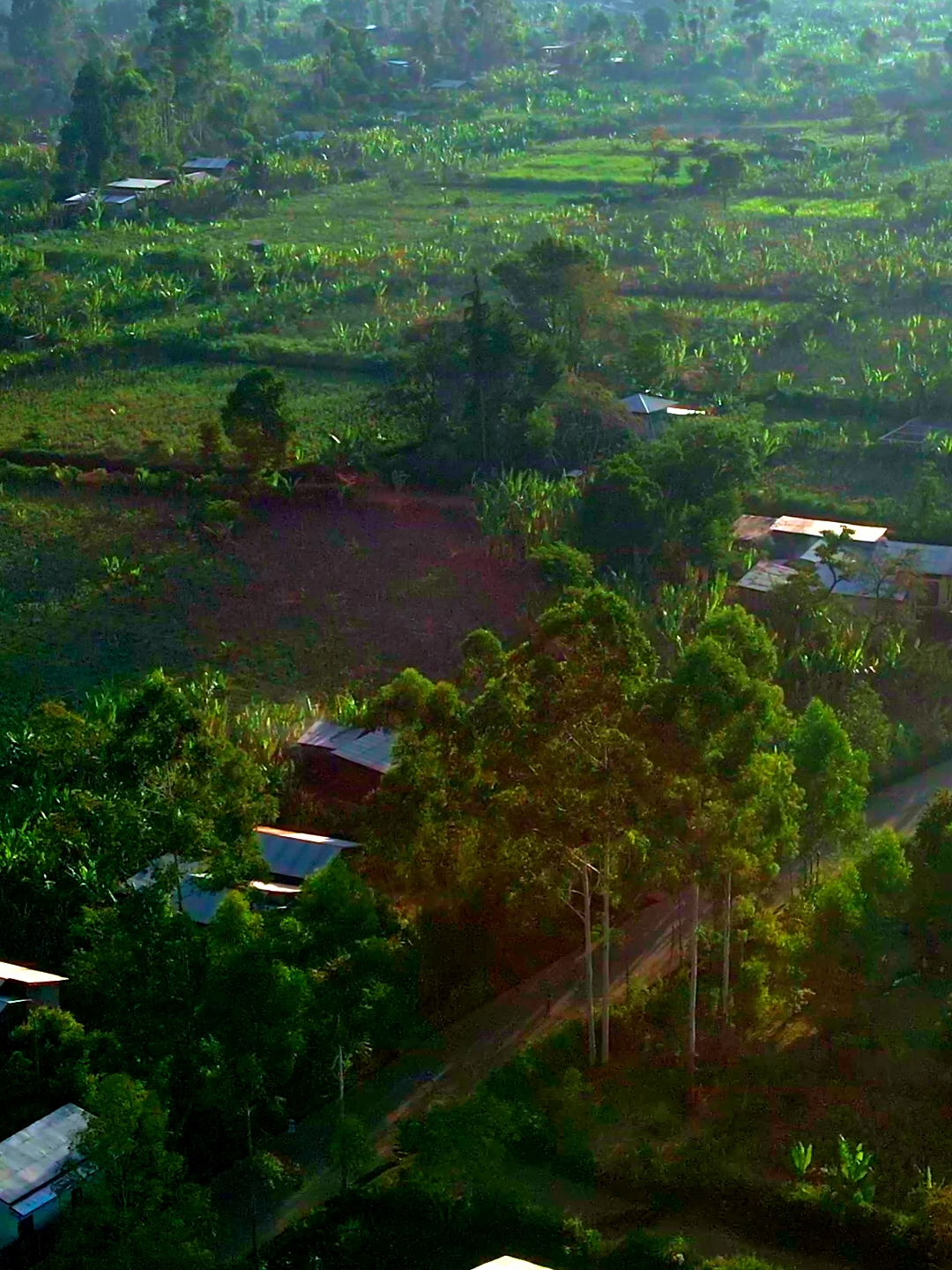 አንድ ቀን ከአምለሰት ጋር ነገ ምሽት 1፡00 ላይ ይጠብቁን#amleset #amlesetmuchie #adaywithamleset #ቆይታከአምለሰትጋር #አምለሰትሙጬ