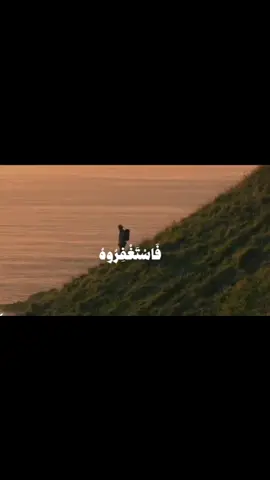 #اكتب_شيء_تؤجر_عليه🌿🕊 #اغاني_عربية #sheinhaul #بدون_موسيقى #iphone 