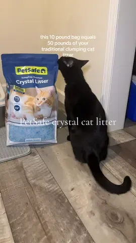ditched my old clay litter for this @PetSafe Brand crystal litter now available at @Walmart 💙 #petsafe #PetSafePartner #gifted #walmartfind 