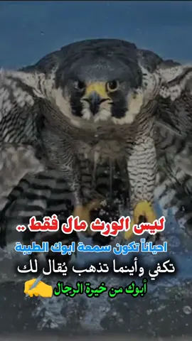 #الصحراء_الغربية 🇸🇩#الشعب_الصيني_ماله_حل😂😂 