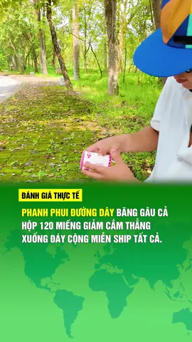 Phanh phui đường dây băng gâu giá rẻ giảm mạnh. #banggaugiare 