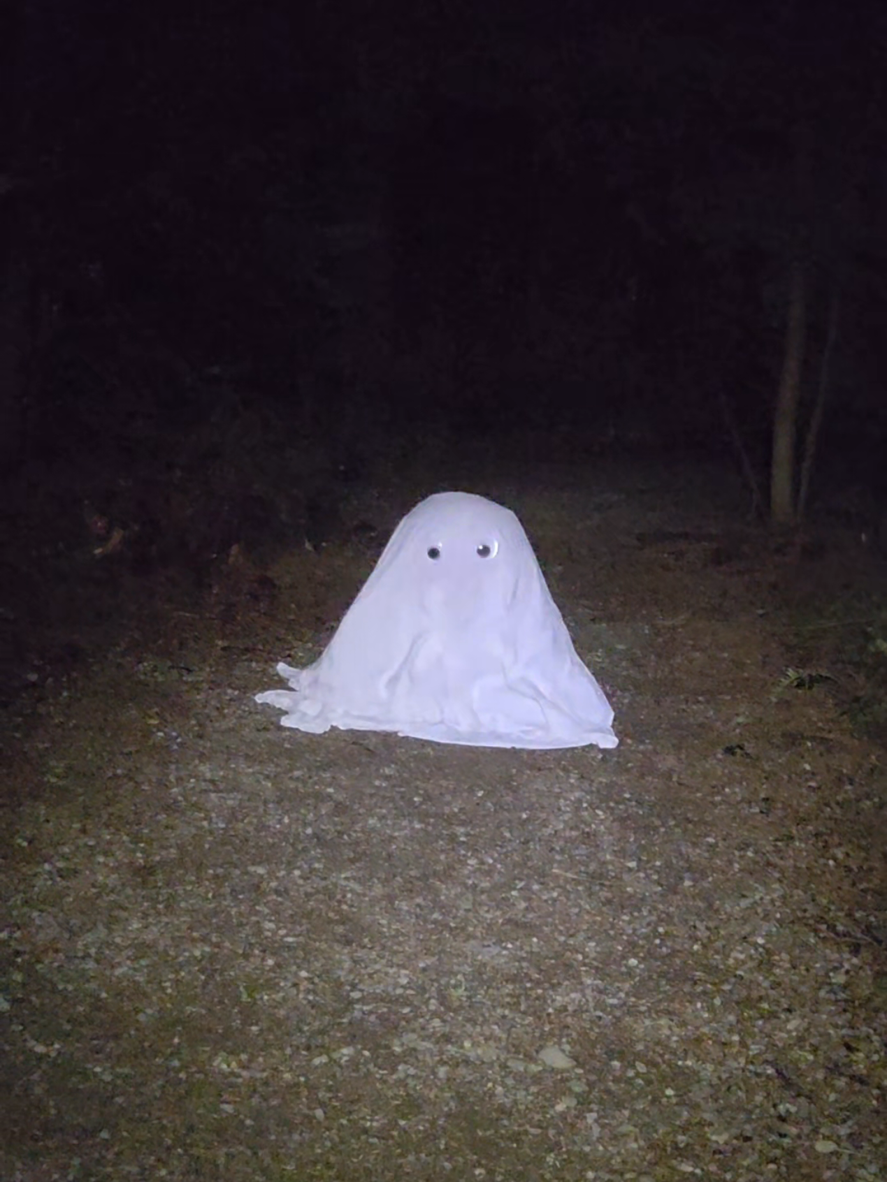 bootyful ghost!  #ghost #fyp #viral 