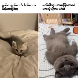 ဟီးး#fypシ #xycba 