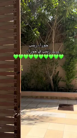 حوراء زينب زينب يا حوراء #يازينب #يازينب_يامولاتي#سيدة_زينب_عليه_السلام #شيعة_علي_الكرار #علي_بن_ابي_طالب 