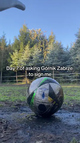 Day 7 🥶🧊 @Górnik Zabrze #foryou #viral #dc  