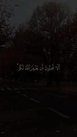 #القرآن_الكريم #الابذكر_الله_تطمئن_القلوب_أذكرو_الله #القران_الكريم_راحه_نفسية😍🕋 #سبحان_الله_وبحمده_سبحان_الله_العظيم 