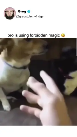 Bring him back  . . . . . . . . . . . #memes #funny #funnyvideos #reels #fyp #funnymeme #meme #dark #humor #fyp*, #explore #explorepage #fyp #foryoupage