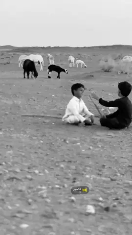 #الحليفه_السفلى #ترندات_تيك_توك #الحائط #الحائط_حائل_السعوديه_بدع_بن_خلف #حايلند 