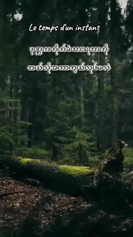 #ပါမောက္ခချုပ်ဆရာတော်ဒေါက်တာနန္ဒမာလာဘိဝံသ #အာဋာနာဋိယသုတ် #ဓမ္မဒါန #တရားနာ၍စိတ်ရောကိုယ်ပါအေးချမ်းကြပါစေ😊🙏🌹 #တရားနာယူချင်းဖြင့်စိတ်အေးချမ်းပါစေ🙏🙏🙏 