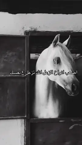 #خيل_وخياله🐎 #viral #fyp #اكسبلورexplore #اقتباسات 