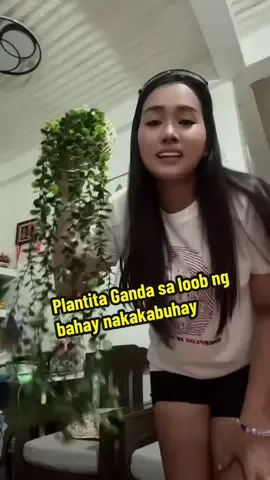 Ganda buhay na buhay sa loob ng bahay talaga #mrhemz #trending #plantita #pants 