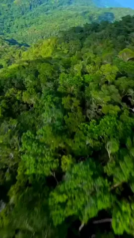 #ผืนป่าตะวันตก #วีรบุรุษแห่งพงไพร #อุทยานแห่งชาติแม่วงก์ #ช่องเย็นกําแพงเพชร 