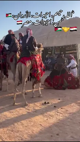 يامرحبا عند ربعي هل الشاني أهل الكرم والرجال الحماوية                    هاضت هجوسي ولحني وقيفاني#تصويري_احترافي_الاجواء👌🏻🕊😴 #الأردن#الاحيوات_مصر_سيناء🇪🇬 #جنوب_الاردن_العقبه_الاحيوات #الاحيوات 