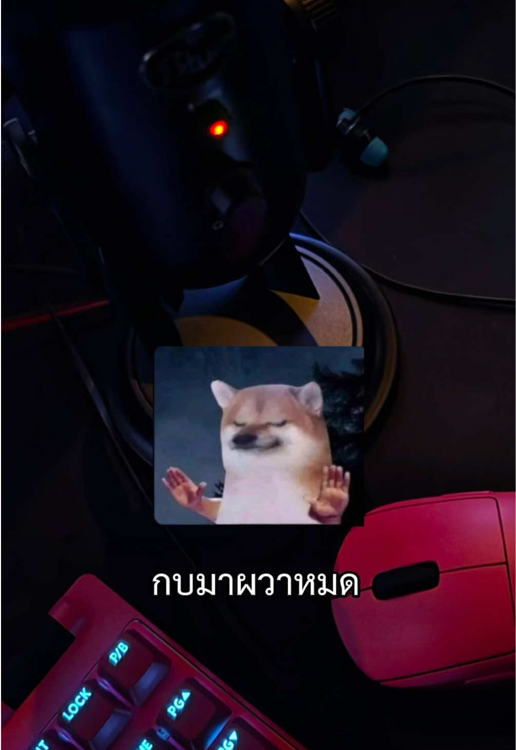 เราไมค์วัดให้แกก็ได้ 🫣 #กบมาผวาหมด #startown⭐️ #winwish #blueyeti 