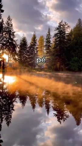 Ainda sou Grato 🎼🙏🏽 #Deus #trapgospel #gospelmusic #musica #grato 