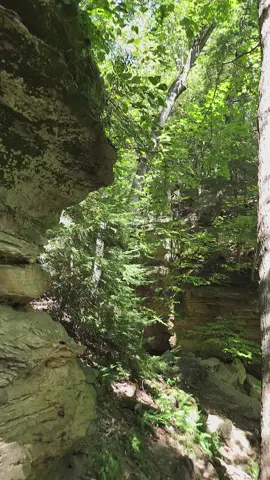 There's the path I was looking for! #turkeyrunstatepark #exploreindiana #naturetherapy #natureza #summertime #hikingadventure #parkecounty