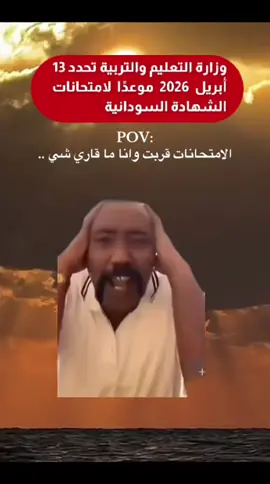 #الشهب_الصيني_ماله_حل😂😂  #fyp 