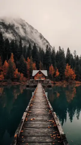 Walking home through this way🍂😌 #cozycorner #cozy #vibes 