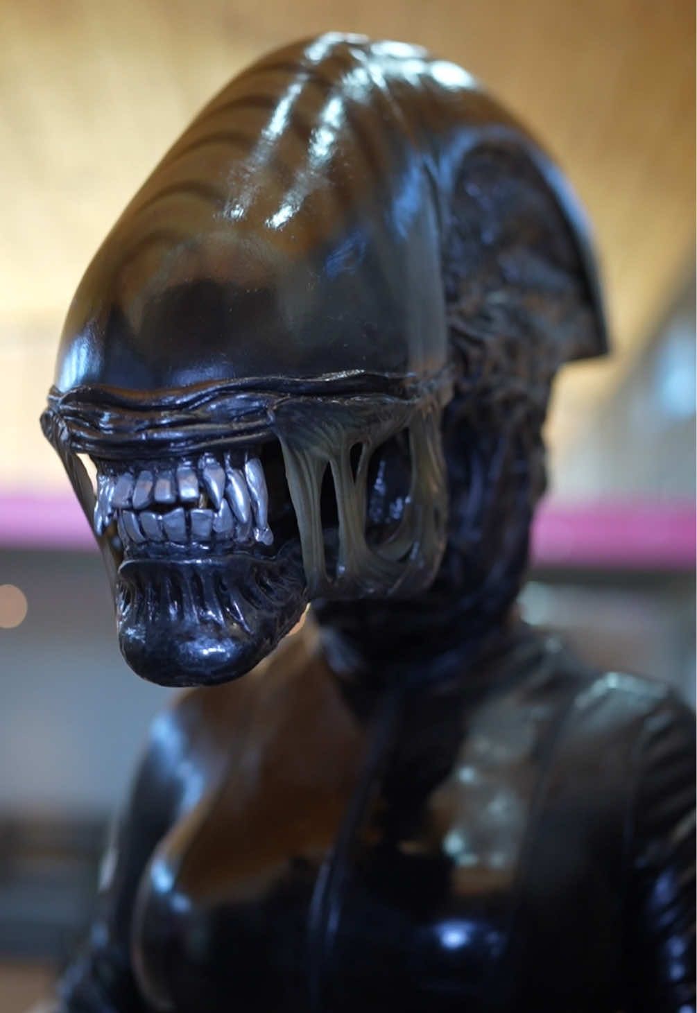 Sorry I’m late to this one 🤪 #sugaronmytongue #fyp #foryoupage #viral #trending 