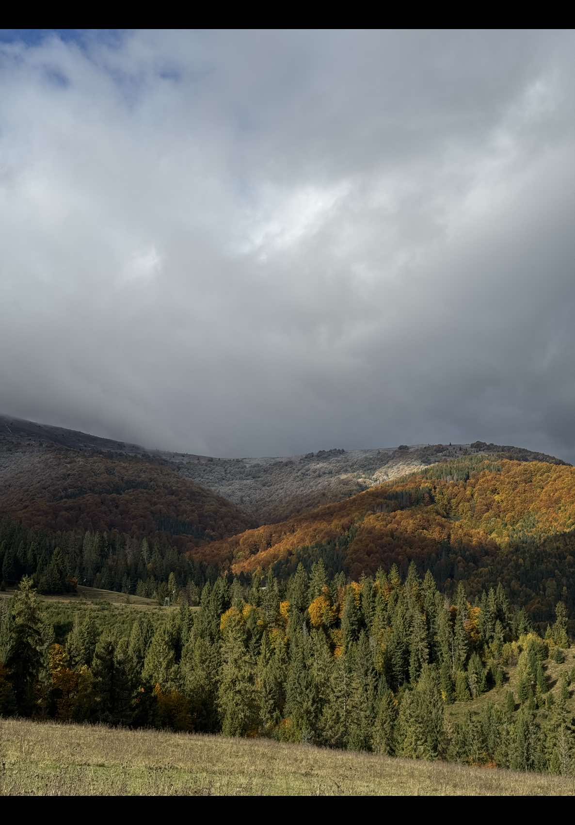 #autumn #atmosphere #карпати #карпатиукраїна🇺🇦 