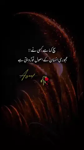 سچ کہا ہے کسی نے مجبوری انسان کے اصول توڑ دیتی ہے #sadmood #videoviral #achibat 