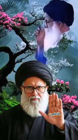 نحن قوم __ وهم قوم __ مقاطعون الفساد ___ السلام على الناطق بالحق 