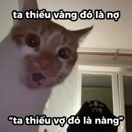 ta thieu vk do la nang. #xh #fyp #xuhuong #viral #bray @B Ray 