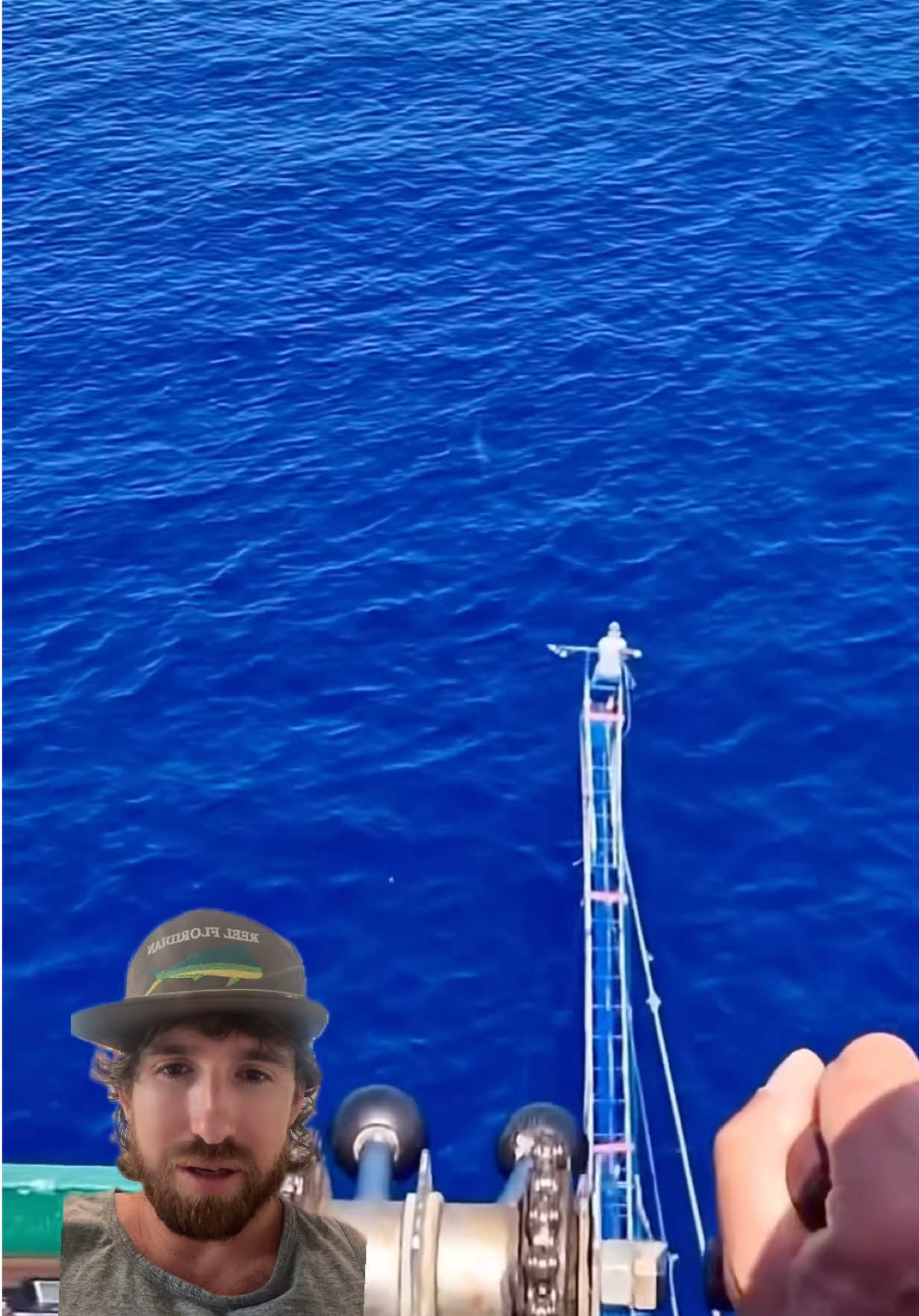 Wow 🤯🎣 #fish #fishing #fyp #shorts #boat 