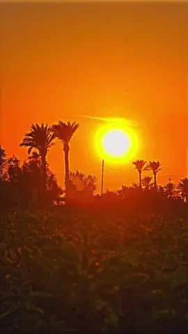 #الوائلي #عميد_المنبر_احمد_الوائلي