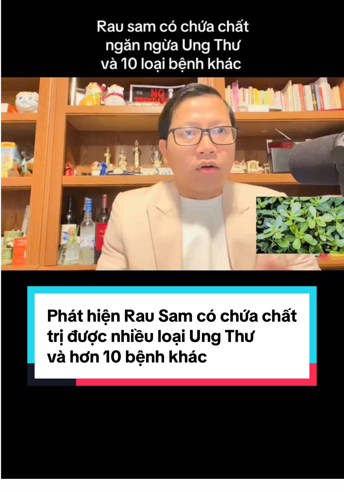 Rau Sam trị nhiều loại Ung Thư và 10 bệnh khác 