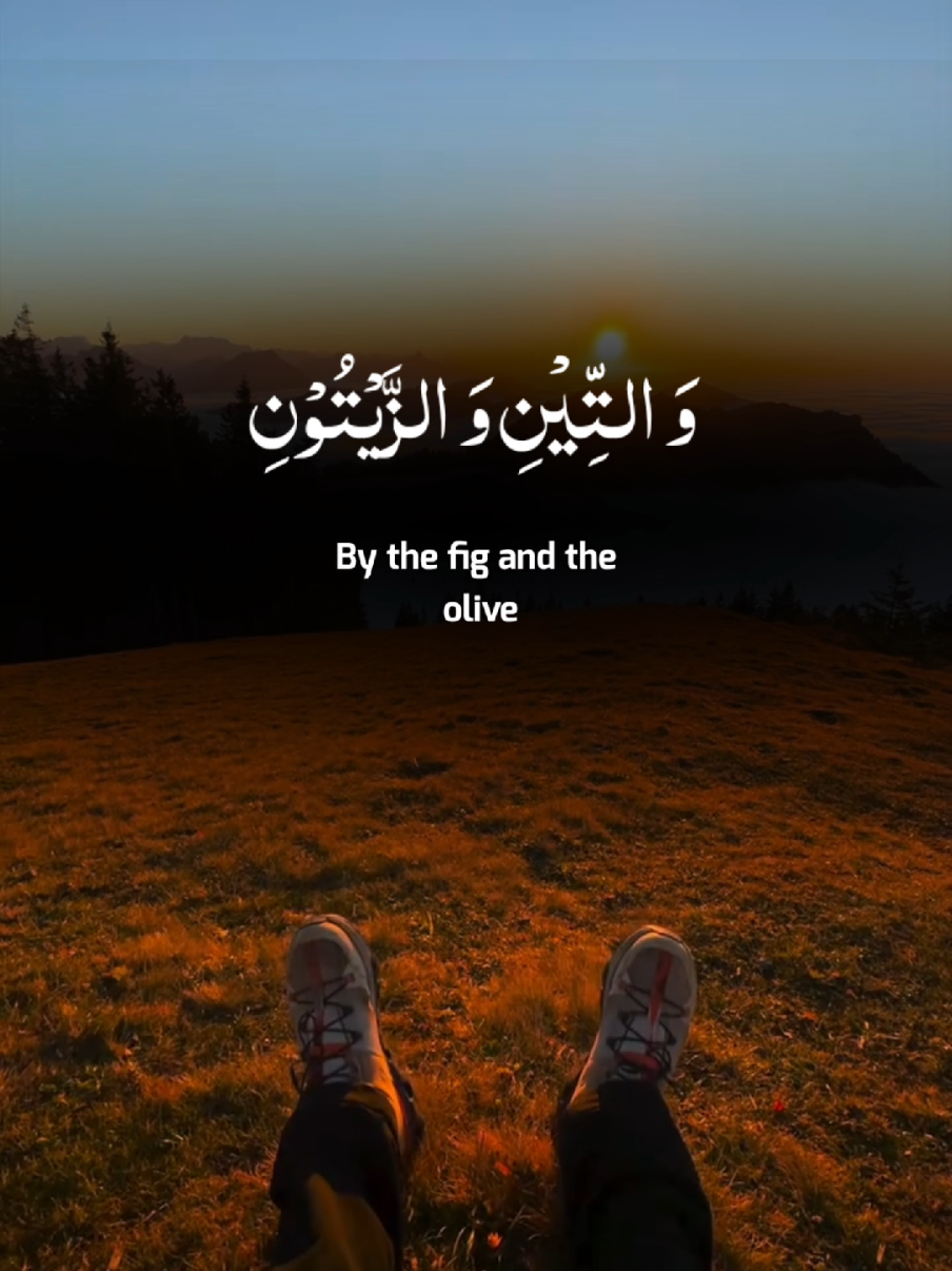 Surah At Teen A Beautiful Quran Recitation By Ridjaal Ahmad #quran #tilawat #recitation #foryoupage #foryou 