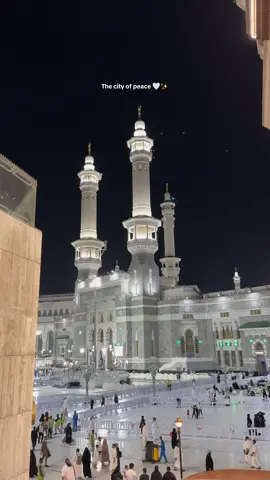 Peace 🤍✨ . . . . . #madina #makkah #umrah #trendingnaatsharif #foryou 