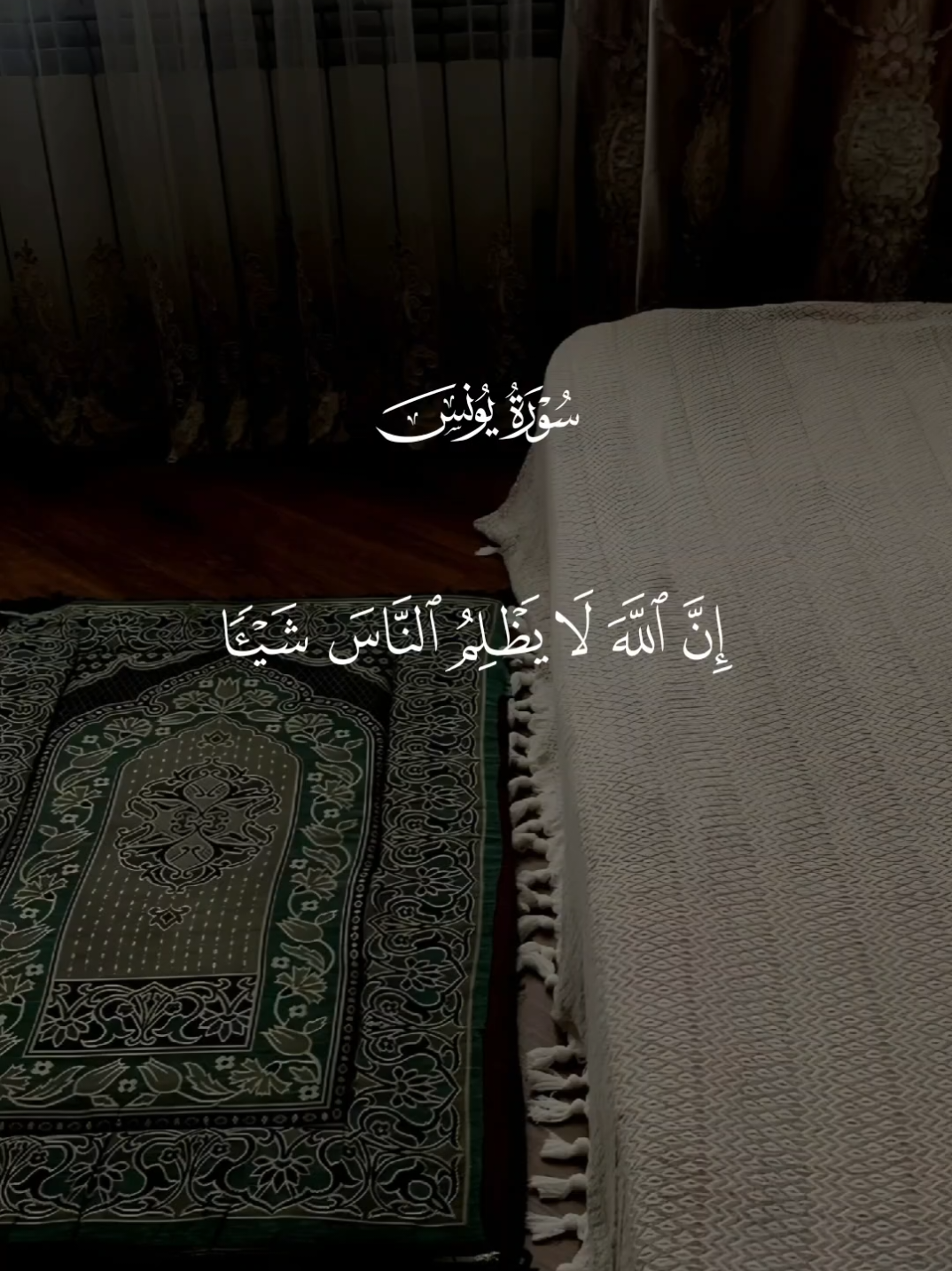 #قران_كريم 