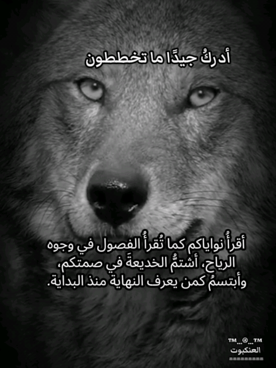 #creatorsearchinsights 