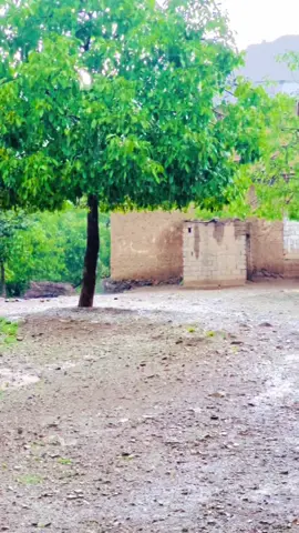 Mozdigar baroon aw kalaiii🌹#foryou#foryoupage#tik_tok##creatorsearchinsights #beautyofwaziristan @Haroon MSD @MR ————FARID @سعیدنور @SHAKIR MSD 01 @J M 👑 KHAN❤❤❤❤ @★ 𝘐𝘛𝘴 𝘈𝘚𝘈𝘋 ⛎ 